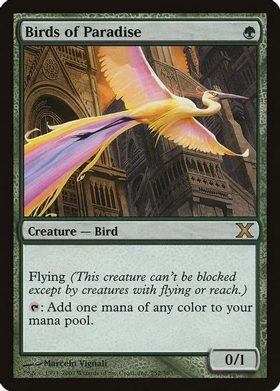 Birds of Paradise [Foil]