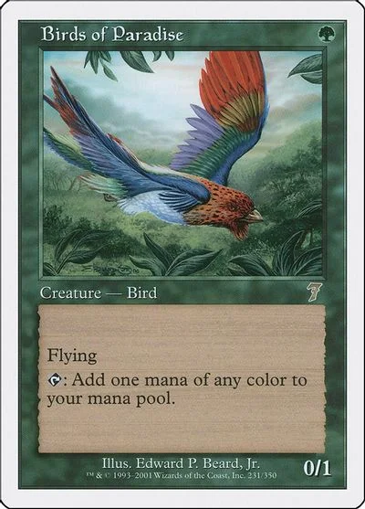 Birds of Paradise #231