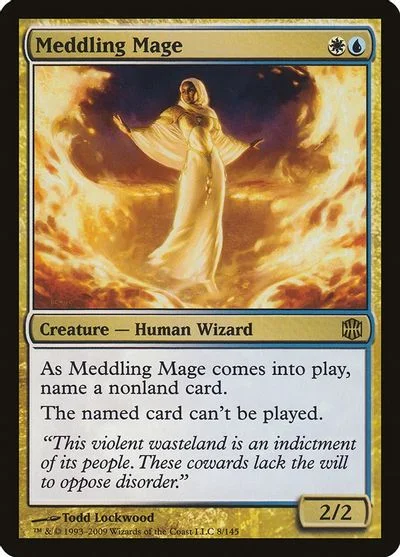 Meddling Mage [Foil] #8