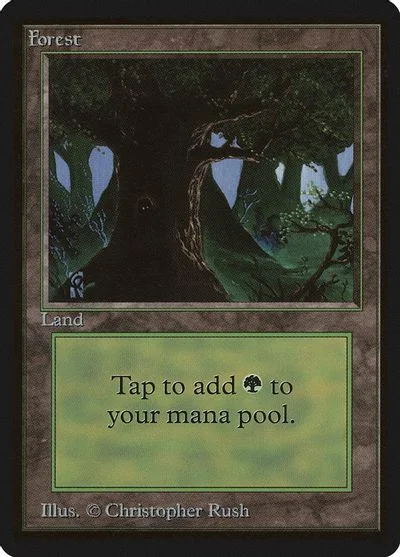Forest [C]