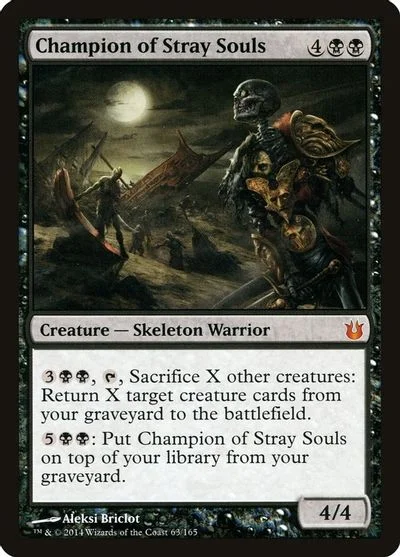 Champion of Stray Souls [Foil]