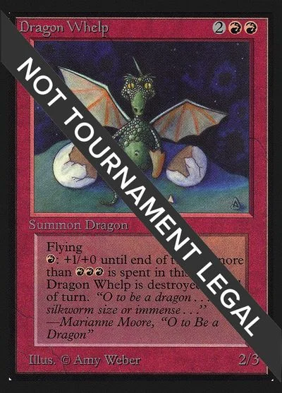 Dragon Whelp #142