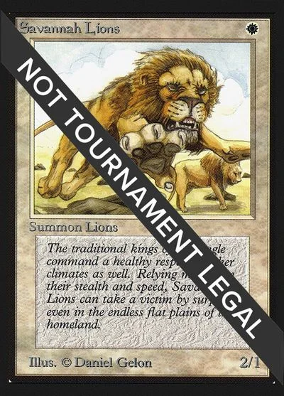 Savannah Lions #39