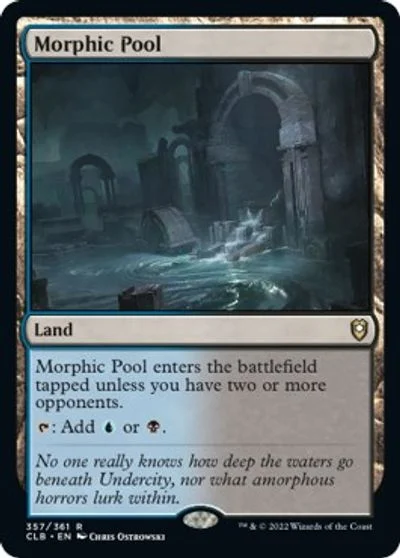 Morphic Pool #357