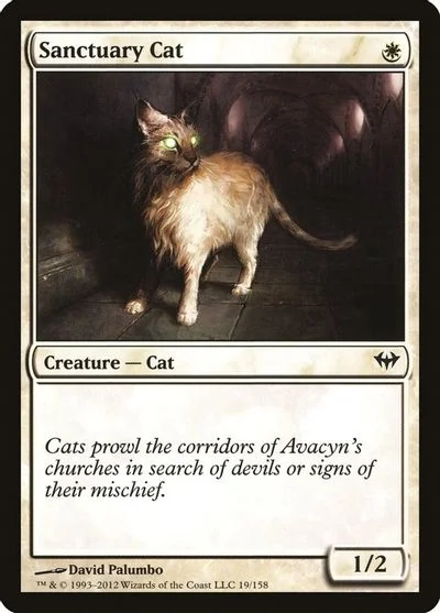 Sanctuary Cat [Foil] #19