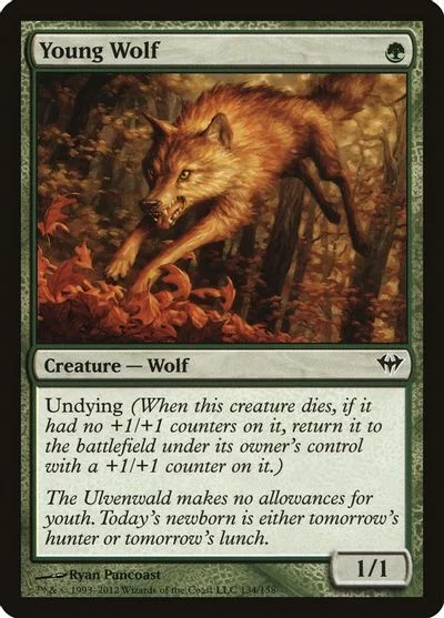 Young Wolf [Foil] #134