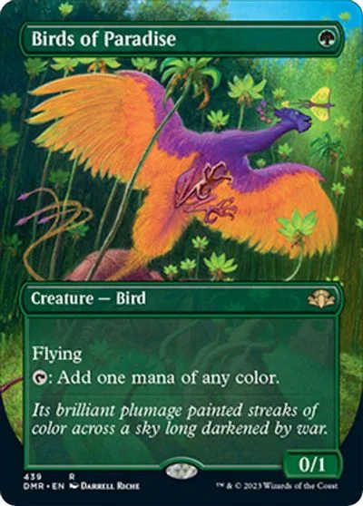 Birds of Paradise [Borderless] #439