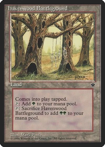 Havenwood Battleground