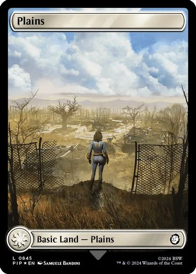 Plains #845