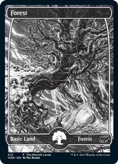Forest [Moonlit Land Foil] #412