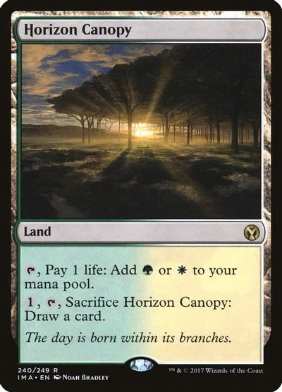 Horizon Canopy #240