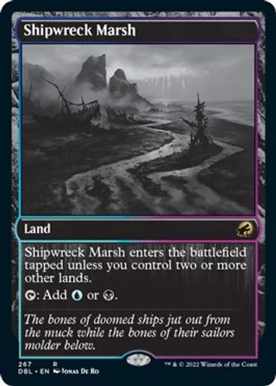 Shipwreck Marsh #267