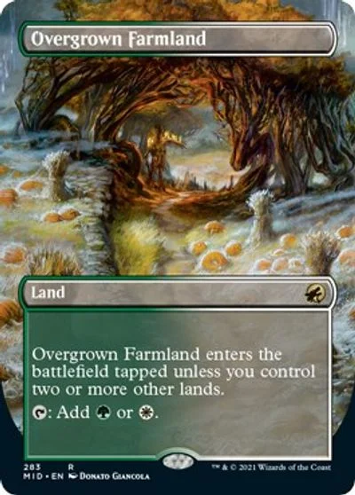 Overgrown Farmland [Borderless Foil] #283