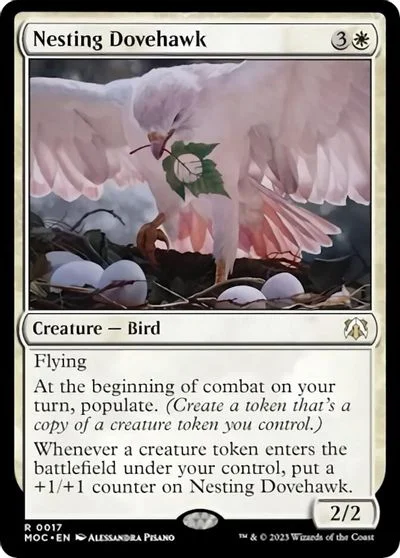 Nesting Dovehawk #17