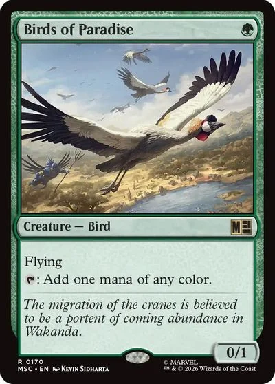 Birds of Paradise [Surge Foil] #170