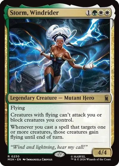 Storm, Windrider #230