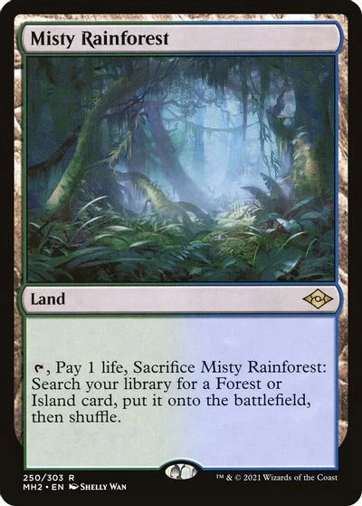 Misty Rainforest [Foil] #250