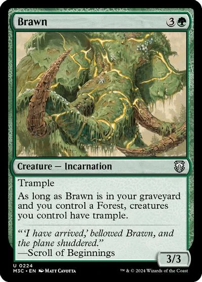 Brawn [Foil] #224
