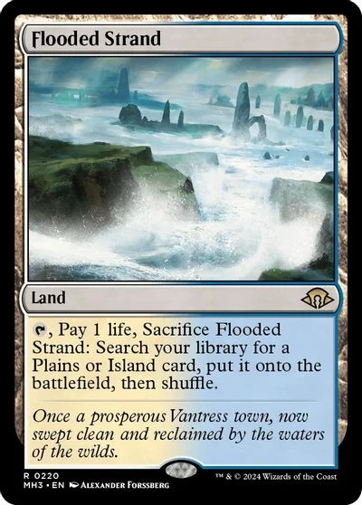 Flooded Strand [Foil] #220