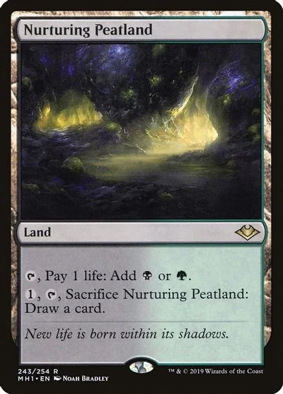 Nurturing Peatland #243