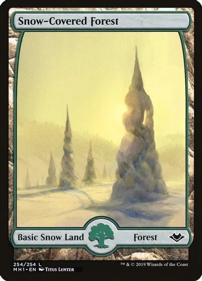 Snow-Covered Forest [Foil] #254