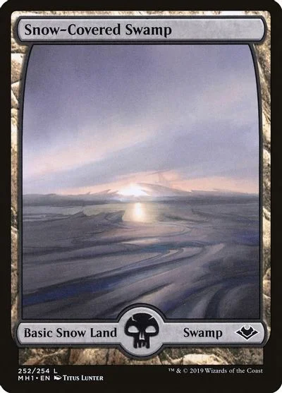 Snow-Covered Swamp [Foil] #252