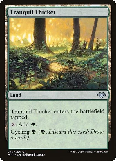 Tranquil Thicket [Foil] #248