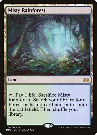Misty Rainforest #240