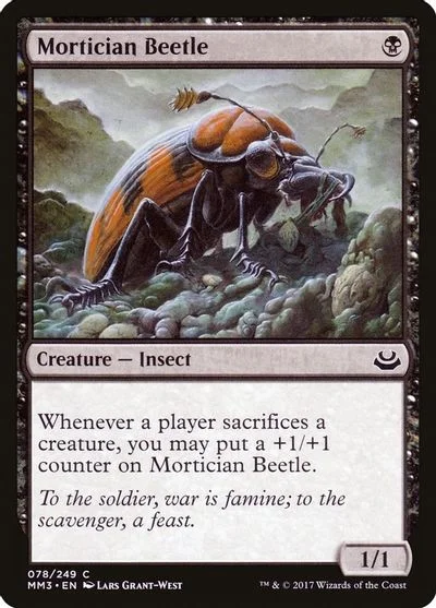 Mortician Beetle #78