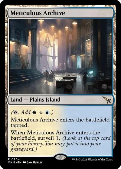 Meticulous Archive #264