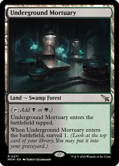 Underground Mortuary #271