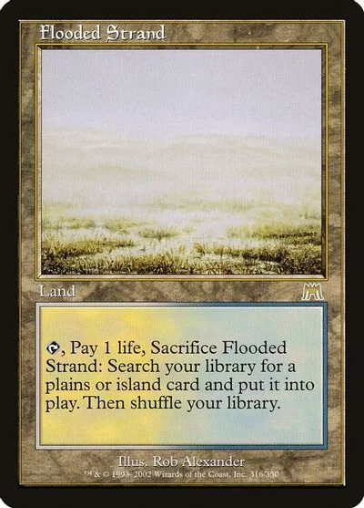 Flooded Strand [Foil] #316