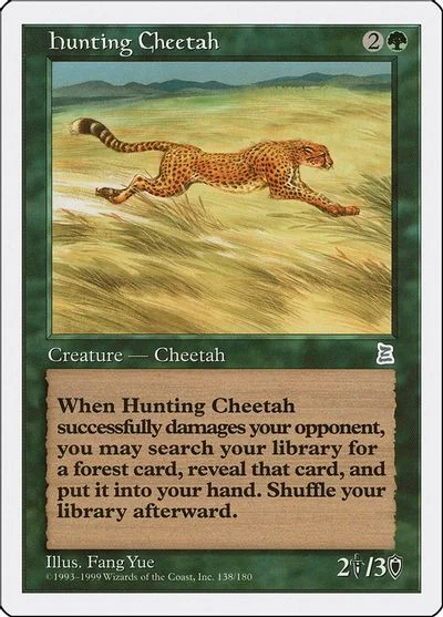 Hunting Cheetah