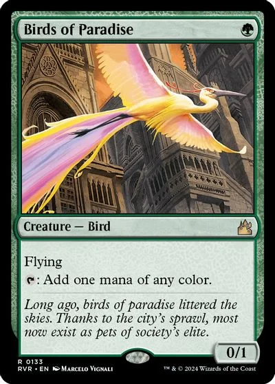 Birds of Paradise [Foil] #133