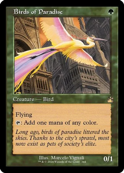 Birds of Paradise [Retro Frame] #344