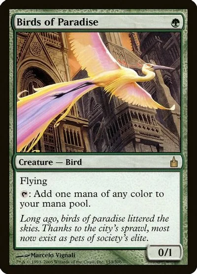 Birds of Paradise #153