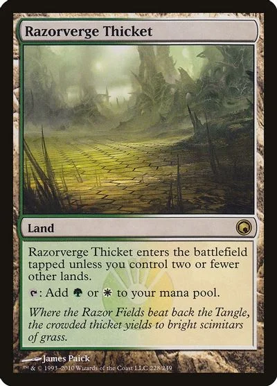 Razorverge Thicket [Foil]