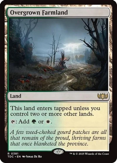 Overgrown Farmland #381