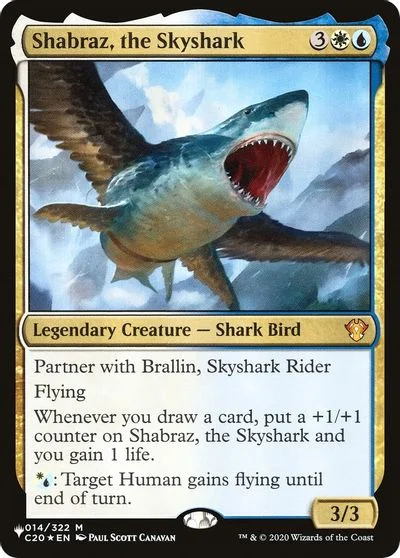Shabraz, the Skyshark #14