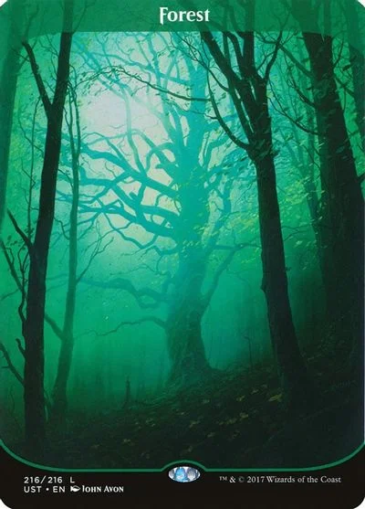 Forest #216