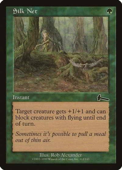 Silk Net [Foil]