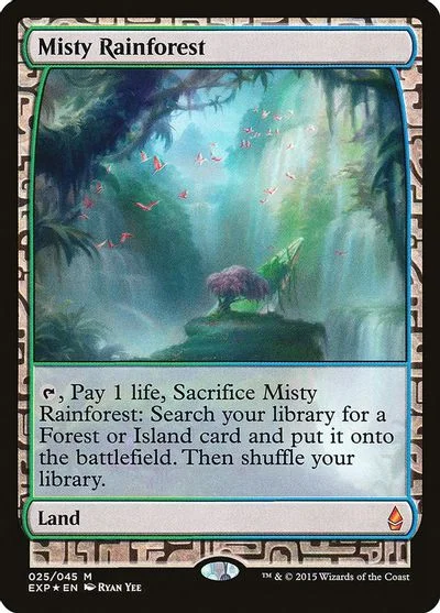 Misty Rainforest #10