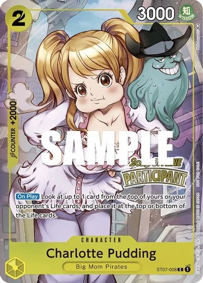 Charlotte Pudding [Participant] ST07-008