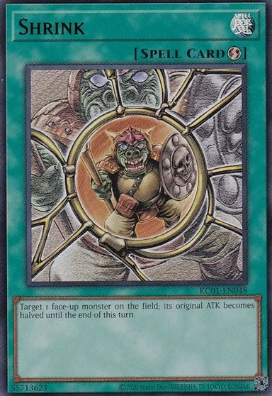 Shrink KC01-EN048