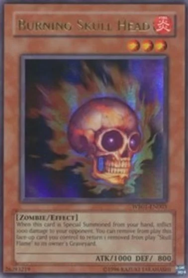 Burning Skull Head WB01-EN003