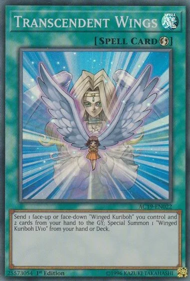 Transcendent Wings AC19-EN022
