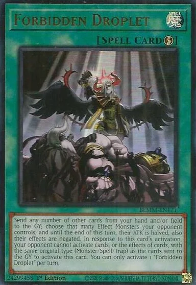 Forbidden Droplet BLMM-EN171