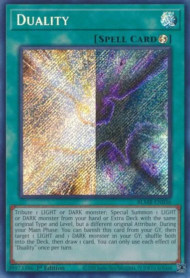 Duality BLMR-EN036