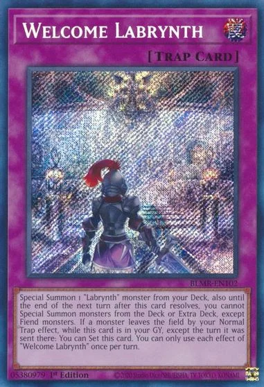 Welcome Labrynth BLMR-EN102