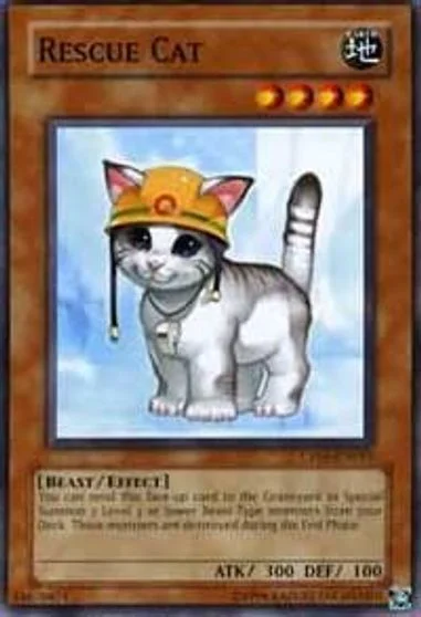 Rescue Cat CP05-EN015